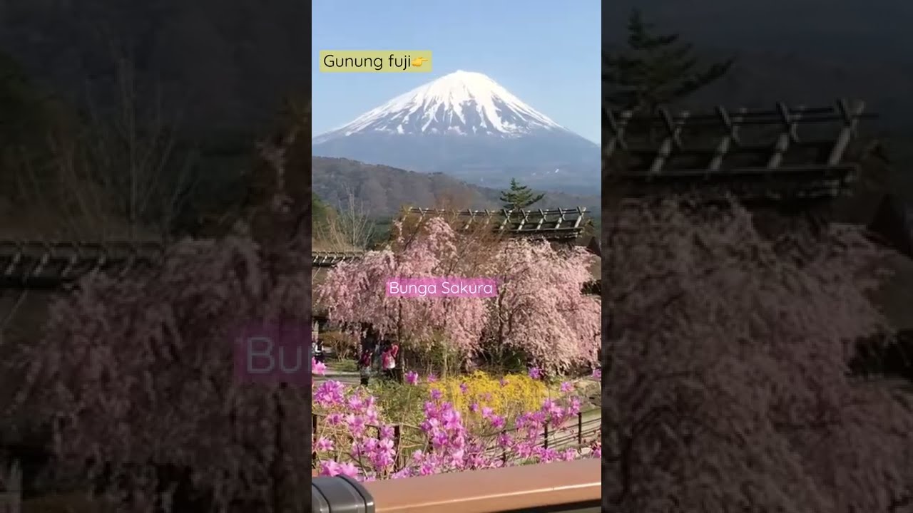 Gunung fuji vs iyashi no sato