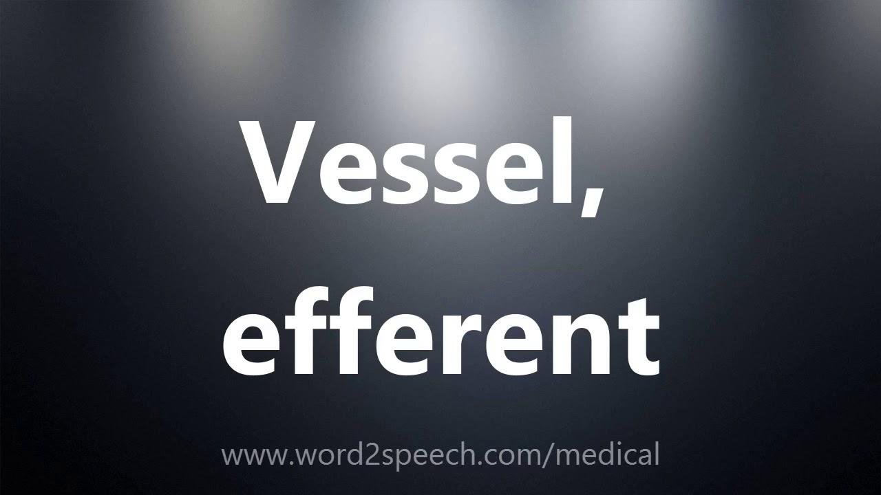 Vessel, efferent - Medical Meaning and Pronunciation