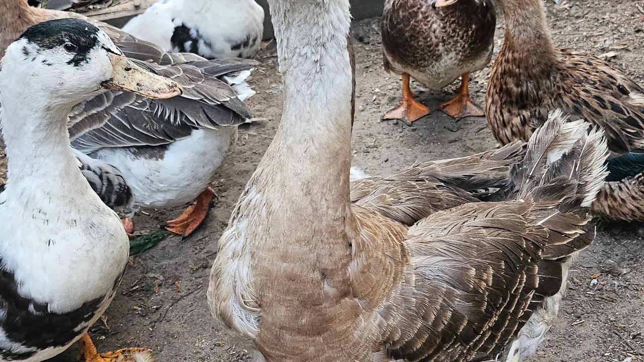 Uciekłem z miasta. Tak wygląda moje prawdziwe życie