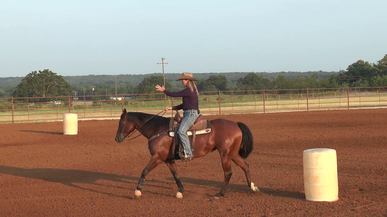 Joy Wargo – Horse Body Position