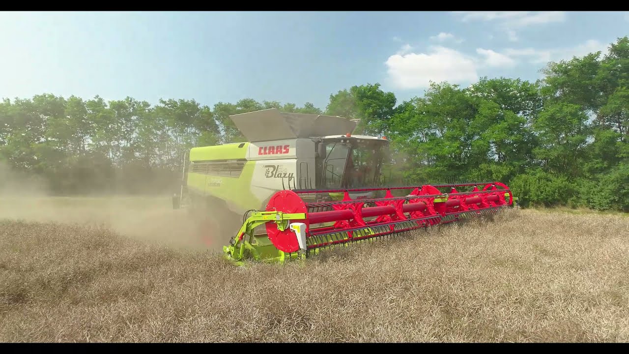 Fin moisson de colza 2021 dans le rhône chez l'ETA BLAZY