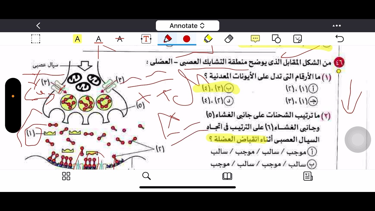 حل اسئلة الدرس الثاني ( الانقباض العضلي)كتاب الامتحان أحياء ٣ ث ٢٠٢٦ د.عبدالله الصاوي