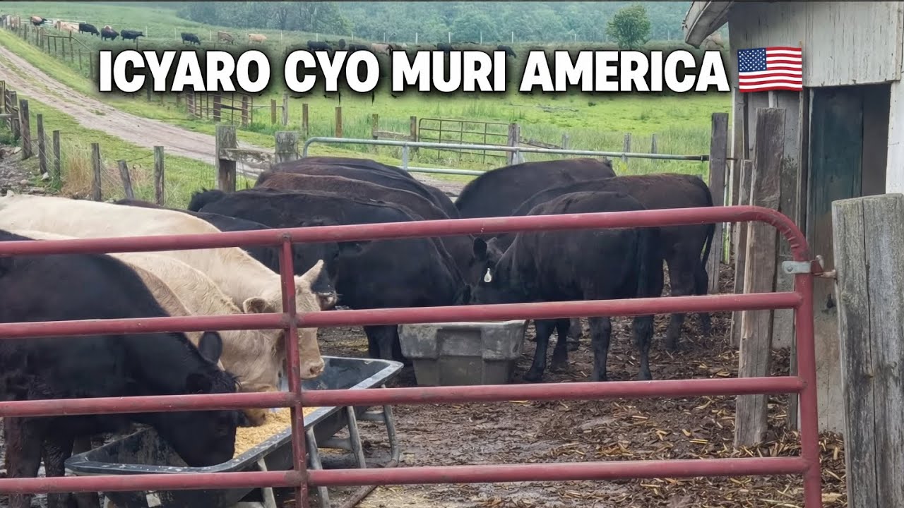 DORE ICYARO CY’AMERICA 🇺🇸🤣🤣 INKA ZIVUGA ICYONGEREZA BURYA 🤣🤣🤣