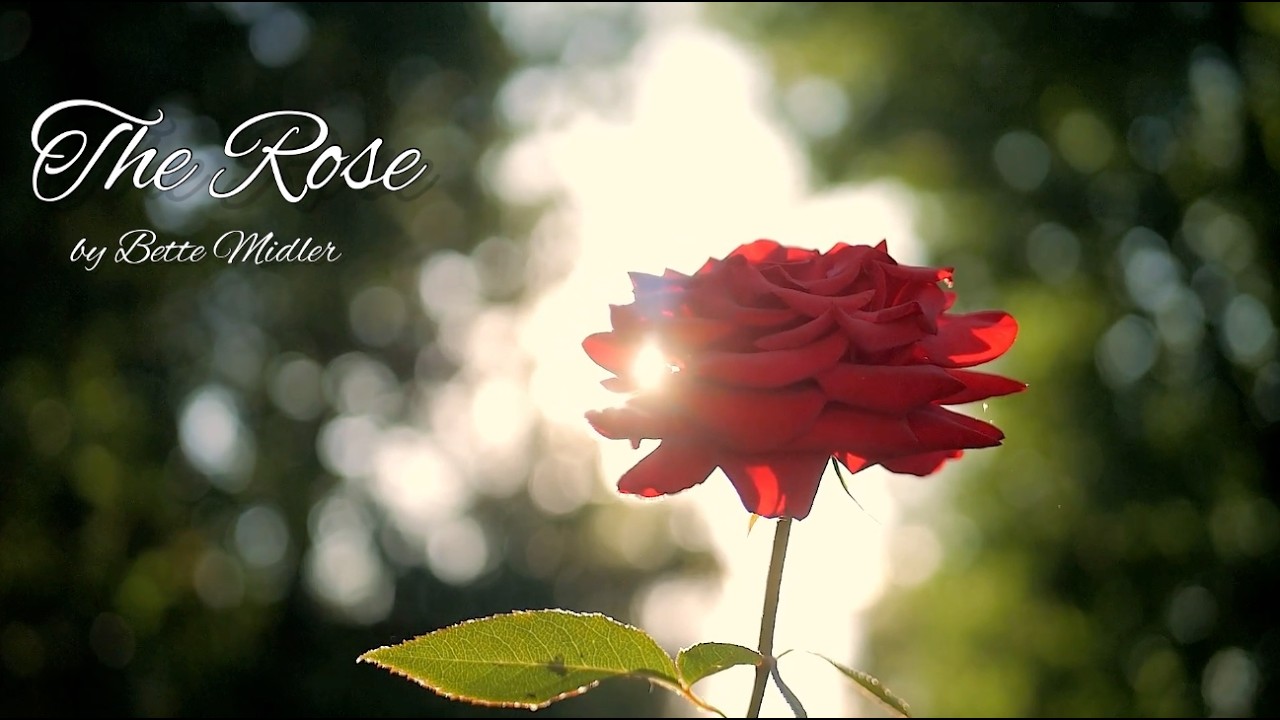The Rose - Bette Midler - Lyric Video (Unofficial)