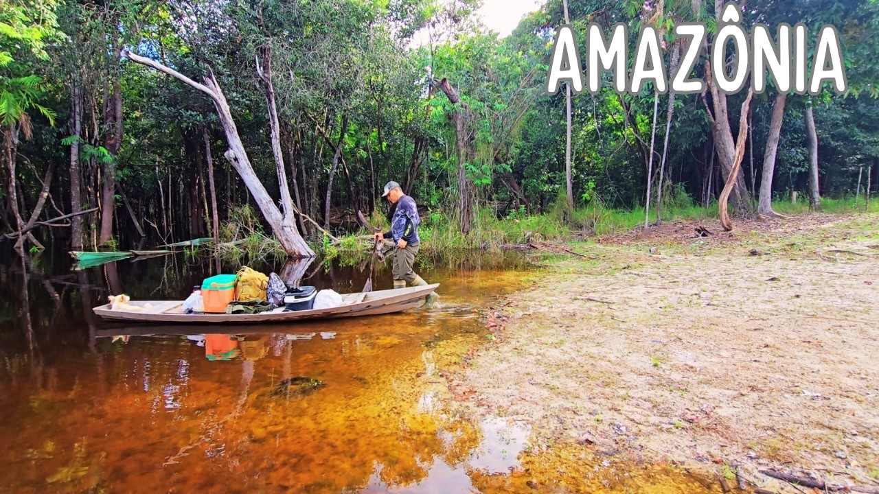PESCANDO E ACAMPANDO com meu CÃO em meio aos PERIGO da AMAZÔNIA,fiz peixe frito🐕🛶🏕