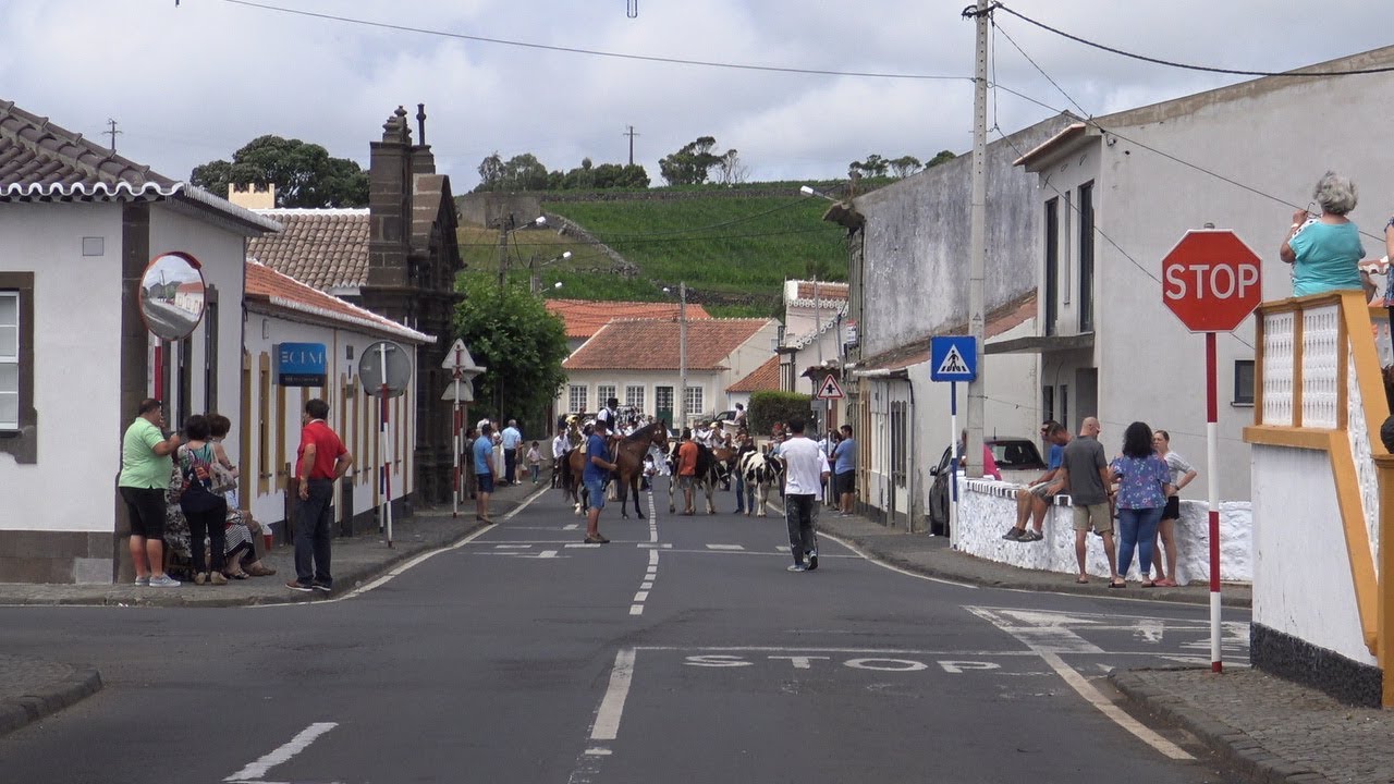 Bodo de Leite - 2019