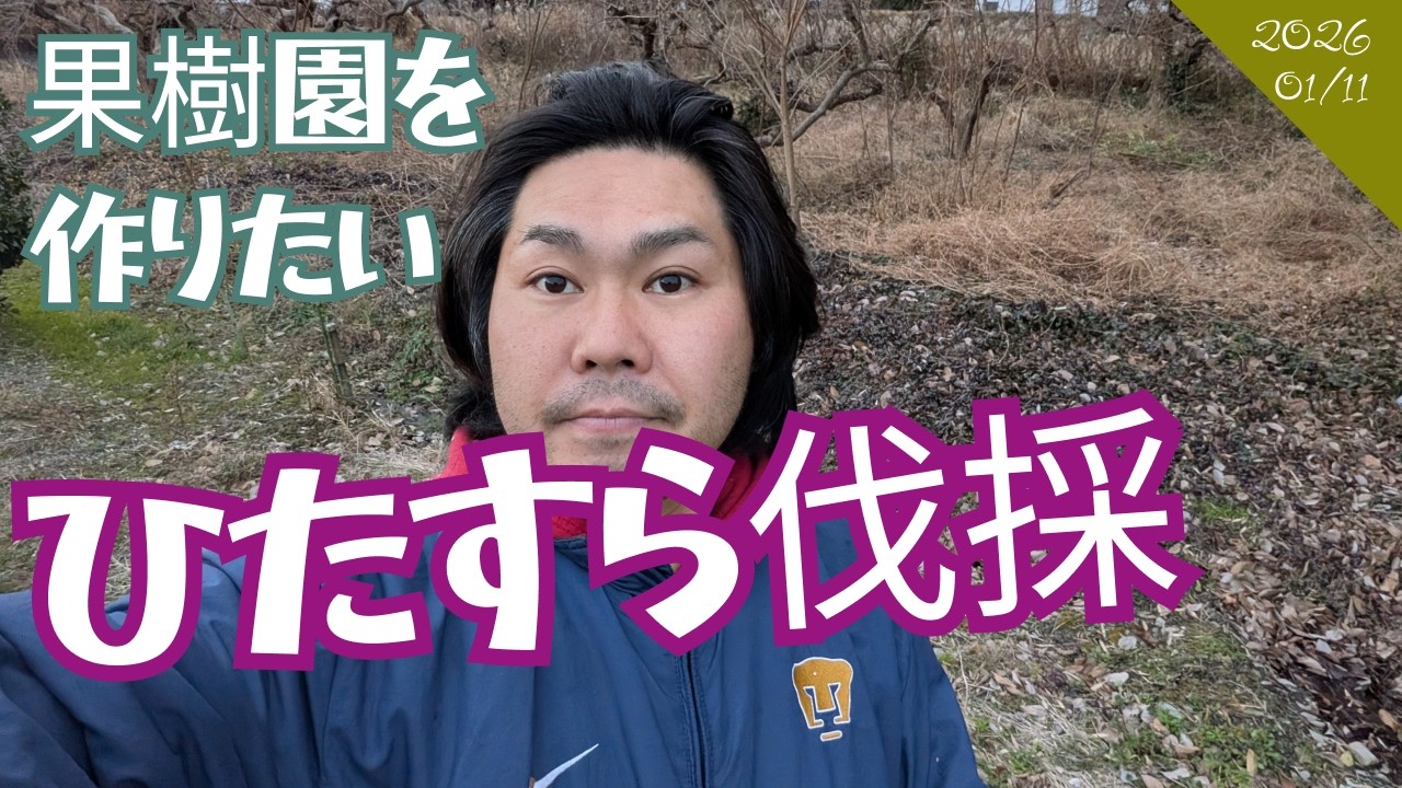 果樹園の復興 ひたすら伐採 どっかから水が湧いているっぽ