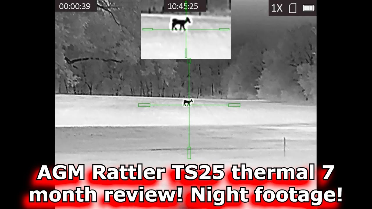 Обзор AGM Rattler TS25x384 за 7 месяцев! Ночные съёмки! Тепловизионный прицел