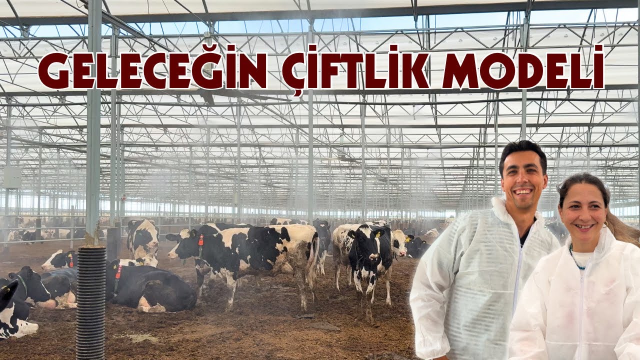 Bu Çiftliği Teknoloji Yönetiyor | Sera Ahır, Sağım Robotları