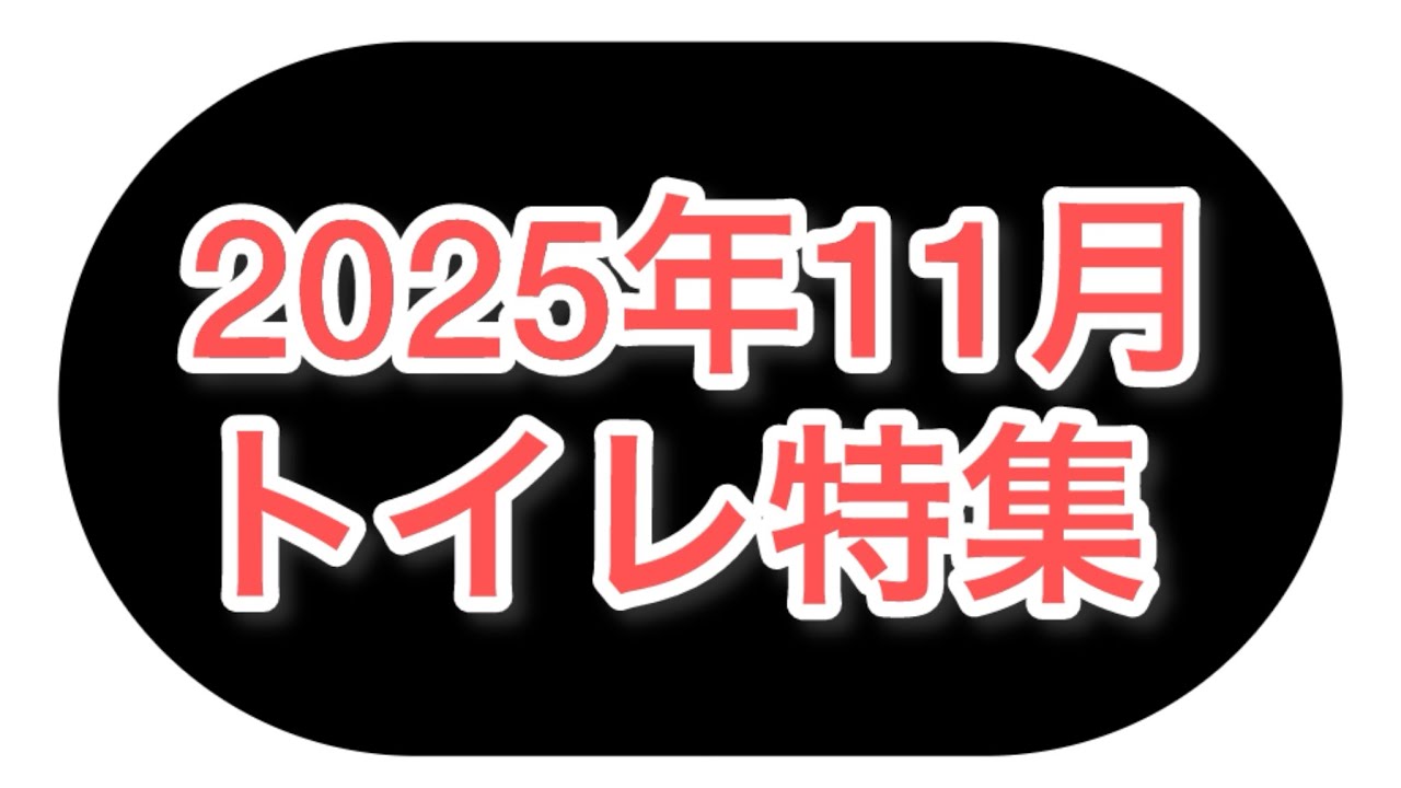 11月　トイレ特集　