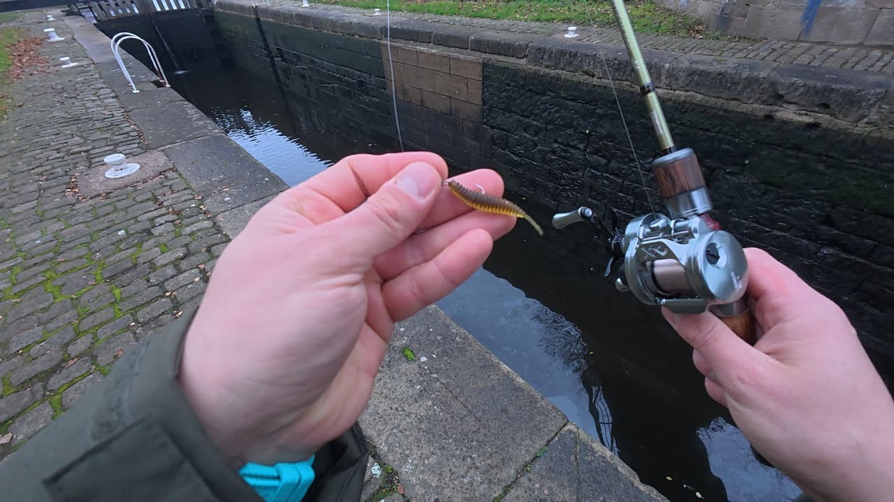 BFS canal fishing #bfs #perch 