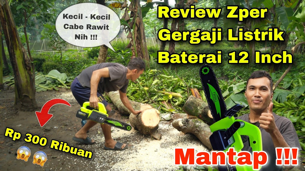 Review Chainsaw Cordless ZPER 12 Inch harga 300 Ribuan❗Tes Potong Kayu Mangga Besar