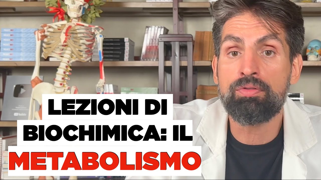 Cos'è il Metabolismo ed i processi metabolici
