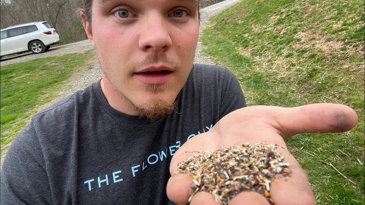 Increase Profits: Plant Wildflower Seeds