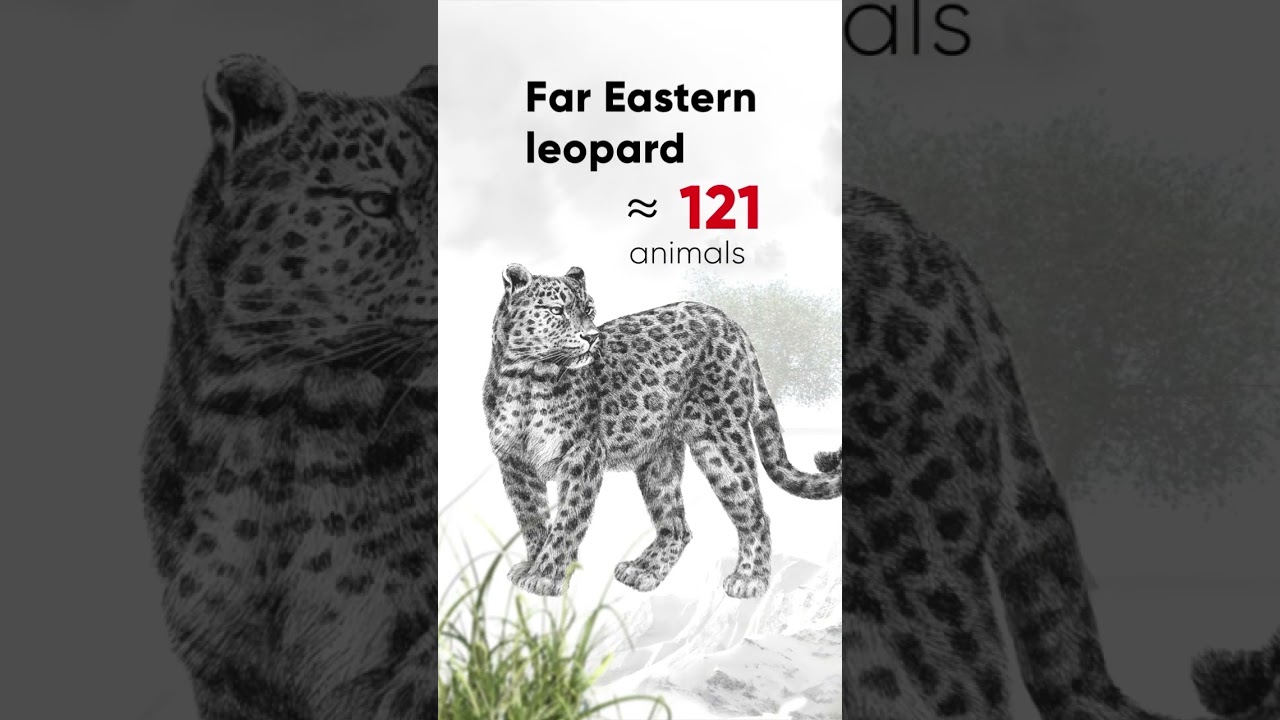 Most Endangered Species  IUCN Red List