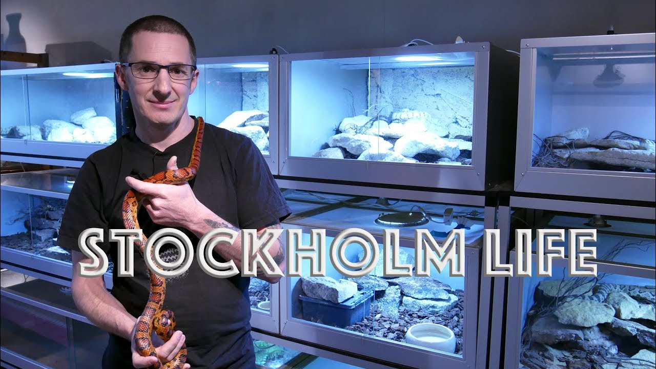 Jag lever med Skallerormar