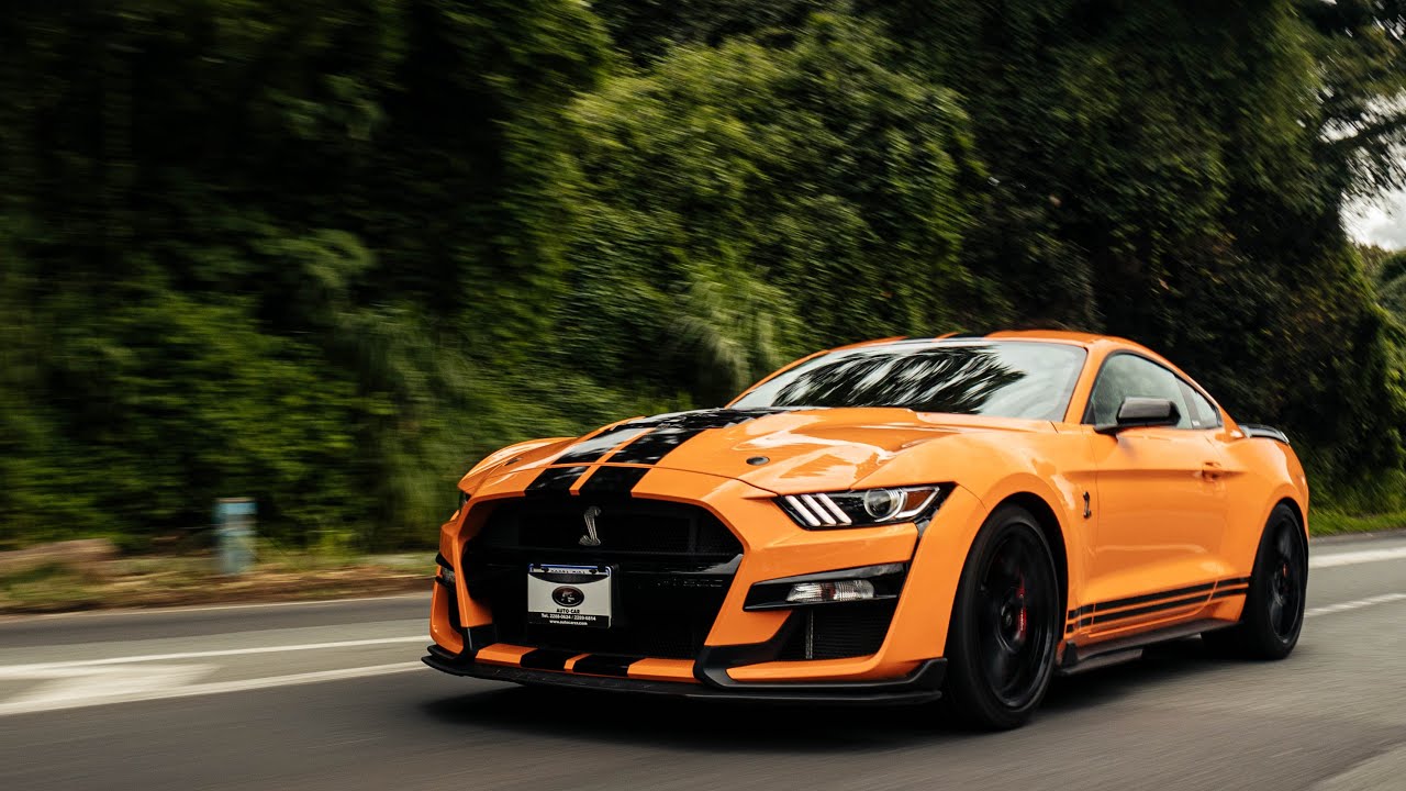 ¿EL REY DE LOS AMERICANOS? MUSTANG SHELBY GT500
