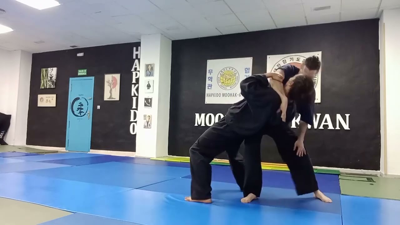 Hapkido en Escuela de Artes Marciales Hermanos Jiménez 