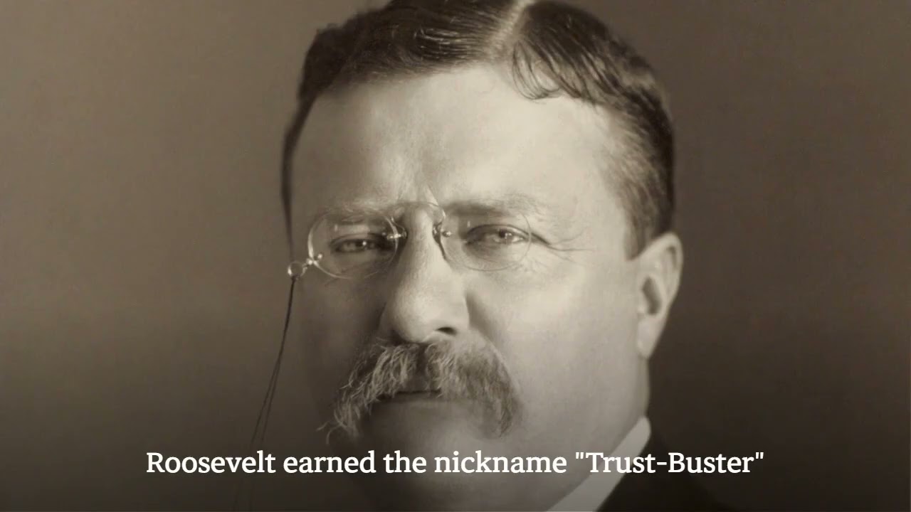 Theodore Roosevelt :Trust-Buster