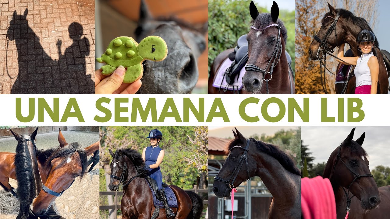 Una semana con Liberty 🗽 Entrenos 🏋🏼, Campo 🍃, Cuerda 🤸🏼, Cavalettis 🦘 nos acompañáis? 🤍💪🏼