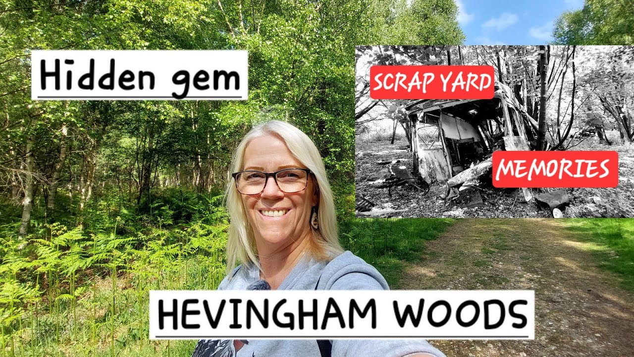 Hevingham Woods - A Hidden Gem On The Outskirts Of Norwich.