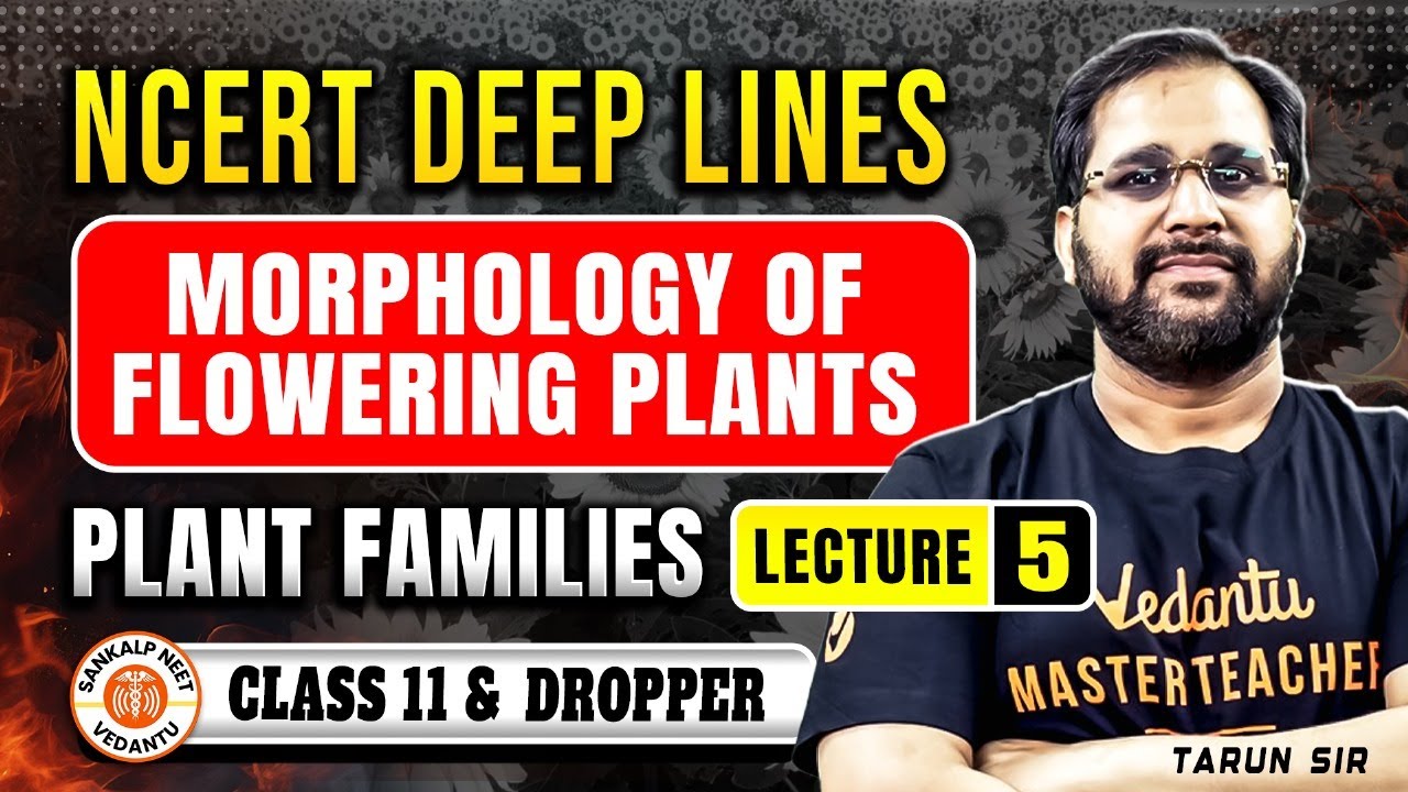 MORPHOLOGY OF FLOWERING PLANTS CLASS 11 | NCERT DEEP LINES | COMPLETE NCERT FOR NEET 2025 TARUN SIR