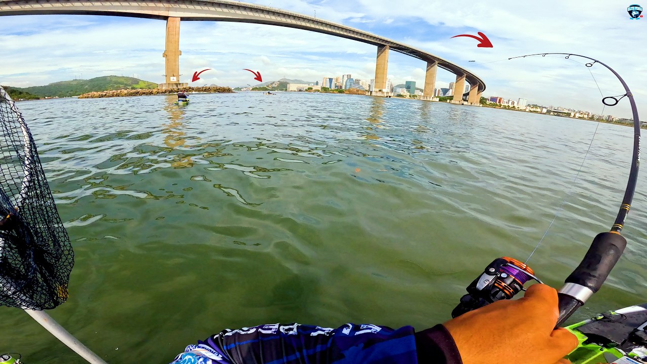 PESQUEI EM BAIXO DA MAIOR PONTE DE TODAS, O RESULTADOR ME SURPREENDEU | MUITOOO PEIXE