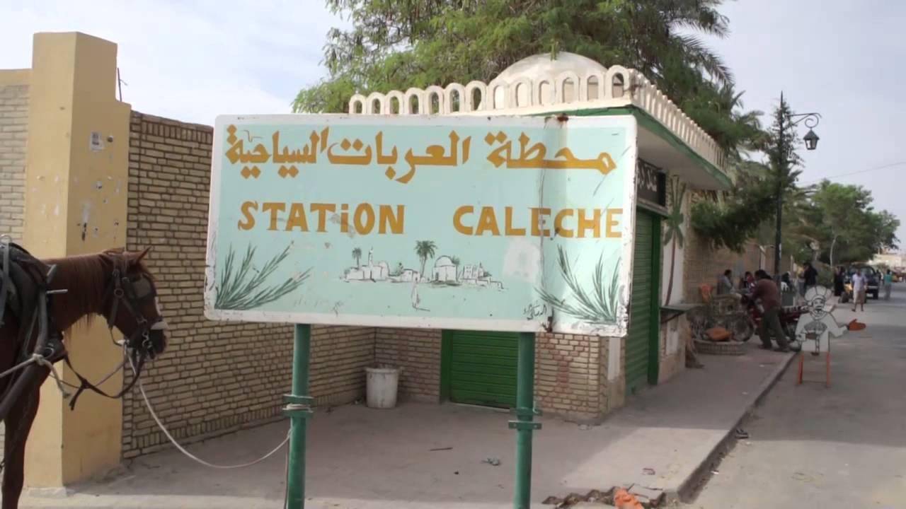 TOZEUR  جوهرة الصحراء مدينة توزر