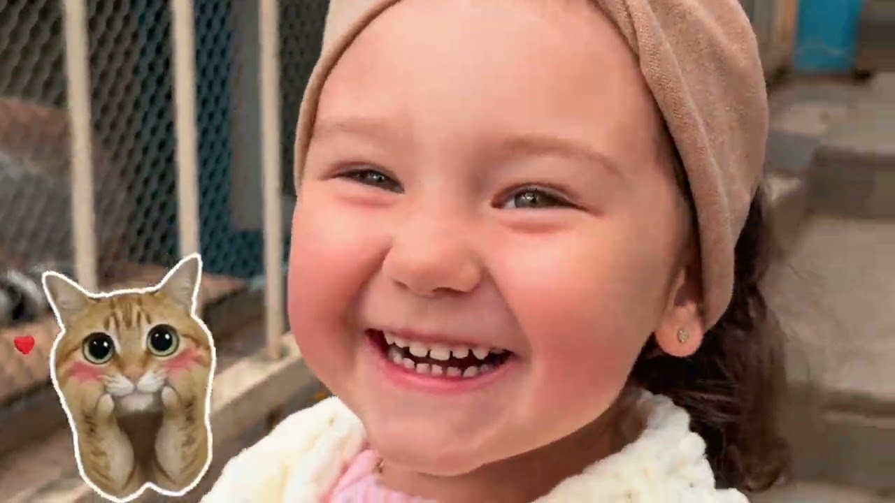 MISS LUISE | ALL ADVENTURES IN ONE VIDEO 🦖🎢 | Dino Park, Fun & Family Moments