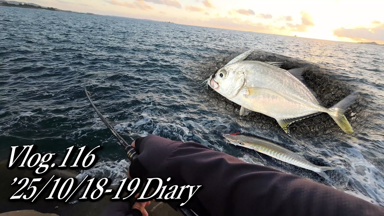 【ルアー釣り】堤防でメッキ、メアジ・テトラ帯でタテフエダイ、カマス　Vlog.116  '25年10月18-19日　