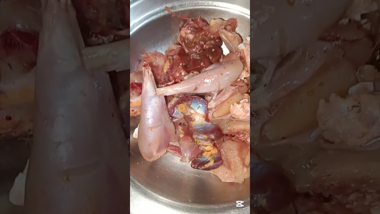 রাতের জন্য ডিনার আয়োজন করা হয়েছে।