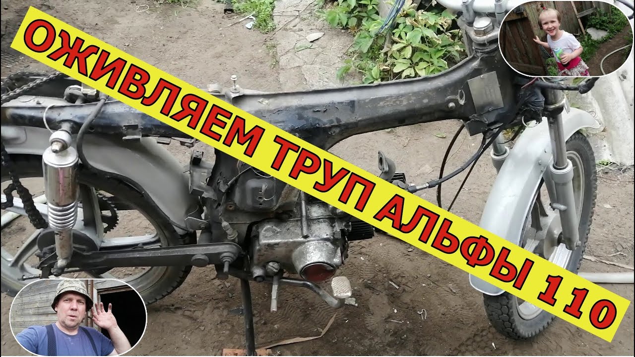 КАК ЗАВЕСТИ МЕРТВУЮ АЛЬФУ 110!