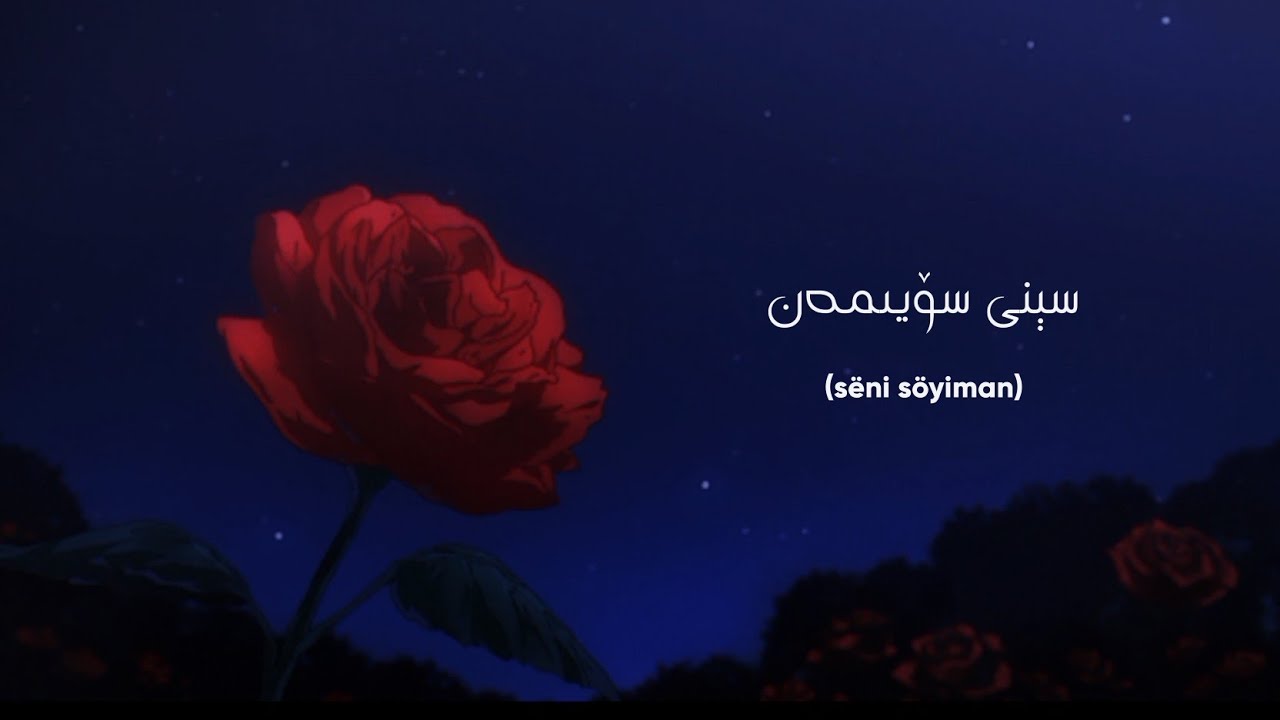 ✨سېنى سۆيىمەن/seni söyiman ✨