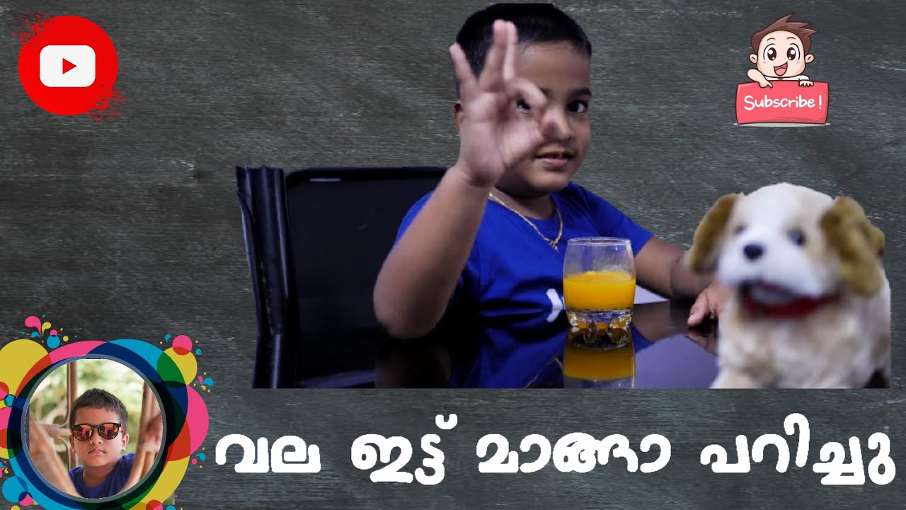 വല ഇട്ട് മാങ്ങാ പറിച്ചു Episode 1|Johan Vlogs