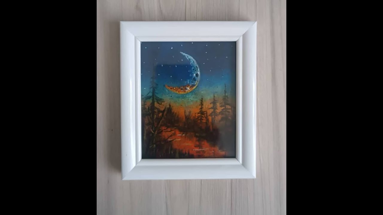 Night nature