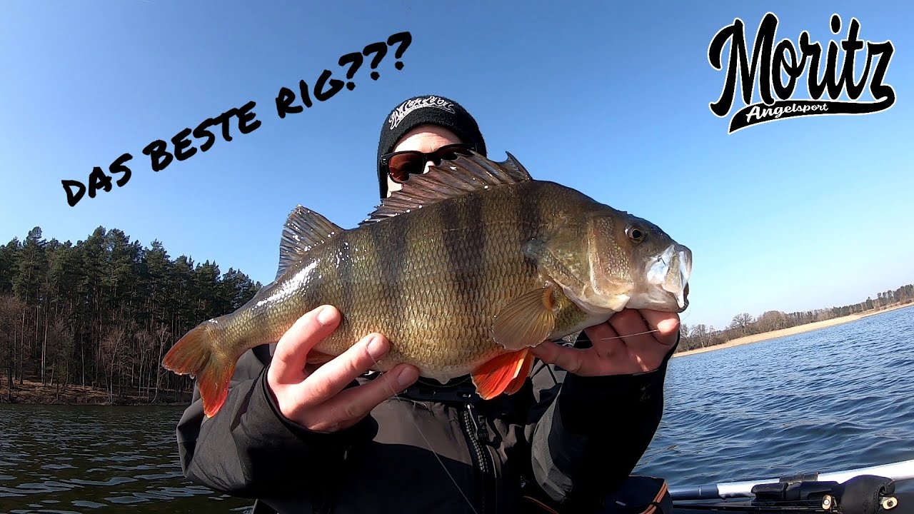 Carolina Rig - so funktioniert`s!