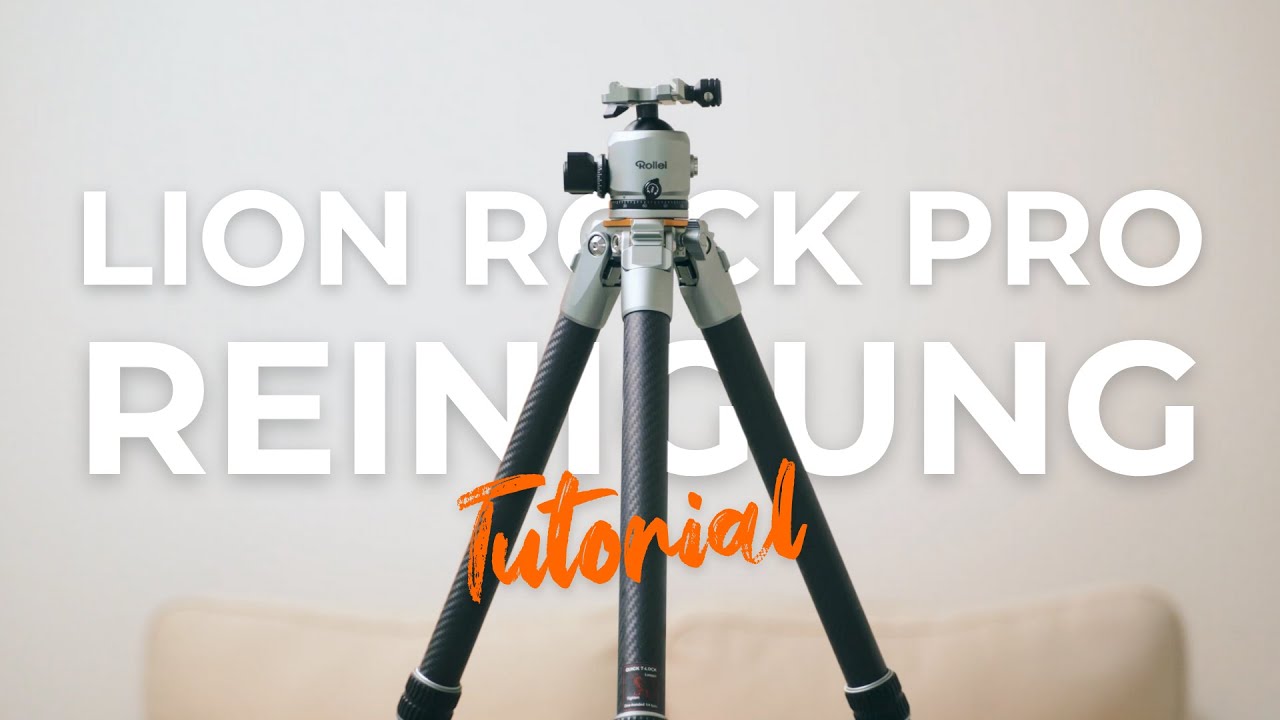 Lion Rock Pro Reinigung