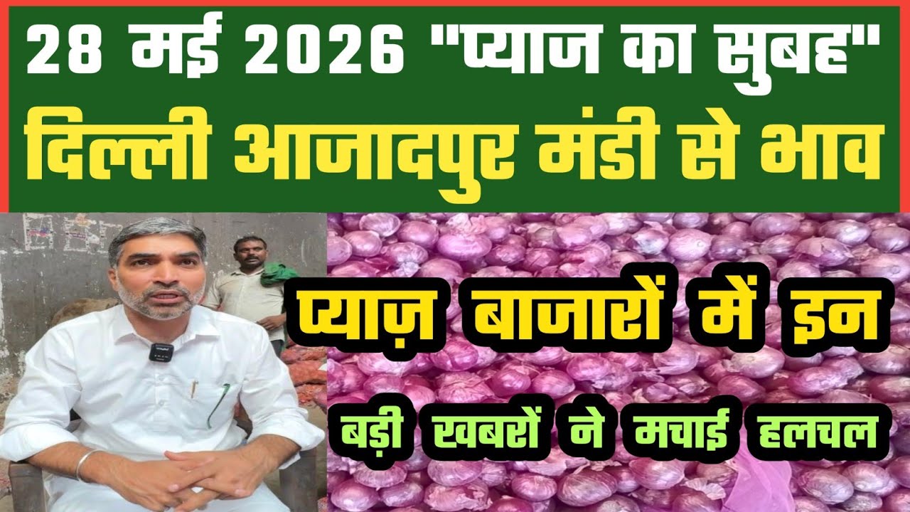 प्याज़ बाजारों में हो गई हलचल, Azadpur Delhi Mandi Today में 28-05-2026 के Onion Price DMT TV