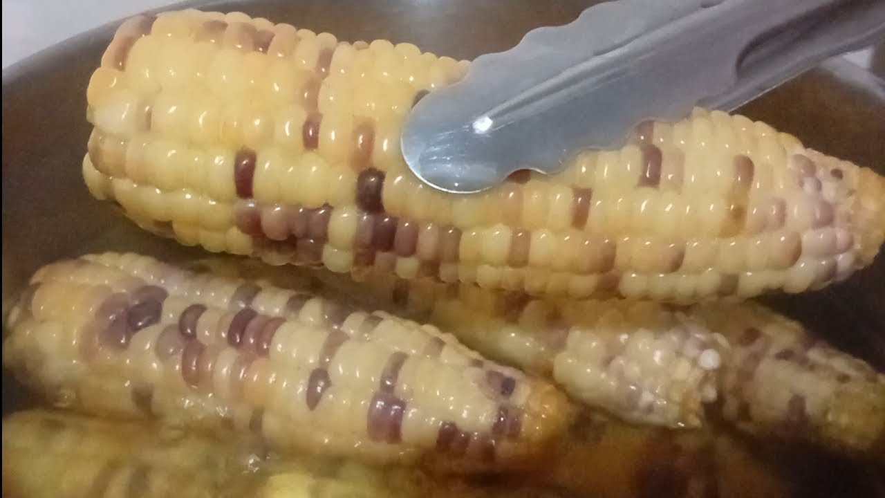 Delicious and Healthy Boiled Hybrid Sweet Corn! YUMMY 😋 🫕 🌽