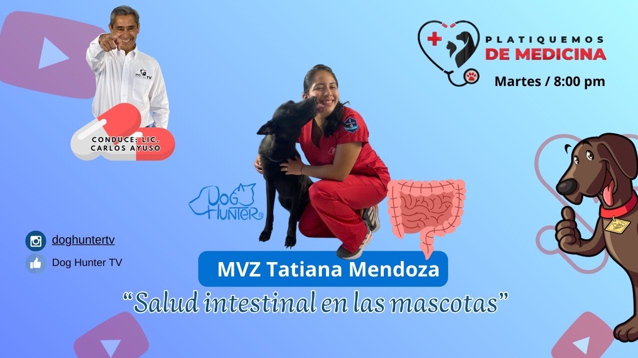 SALUD INTESTINAL EN LAS MASCOTAS