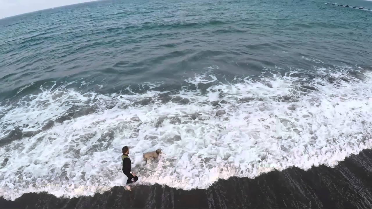 Dog chased by auto-follow drone AirDog