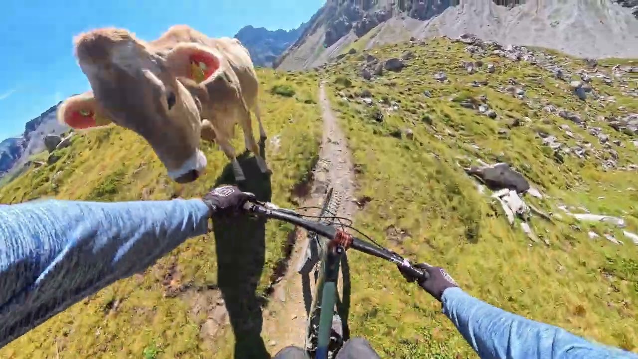 Schwellisee Trail Arosa