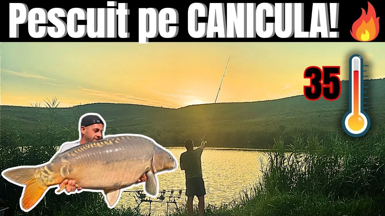 Pescuit la +35°C – 72h de luptă pentru Crapi Mari pe lacul Tonciu!🇷🇴