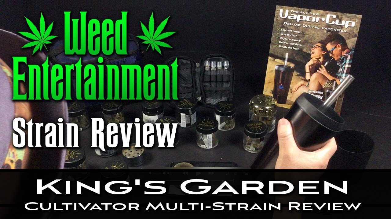 Kings Garden - Cultivator multi-strain marijuana review - 18 strains - September 2020