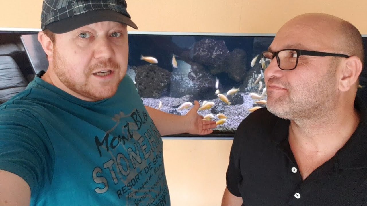 1800 Liter Tanganjika See Traum Aquarium mit Tropheus kipili albino