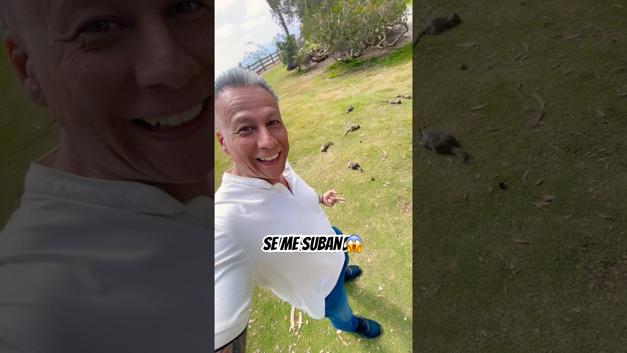 Squirrel 🐿️ #VLOG #CLAULOVE