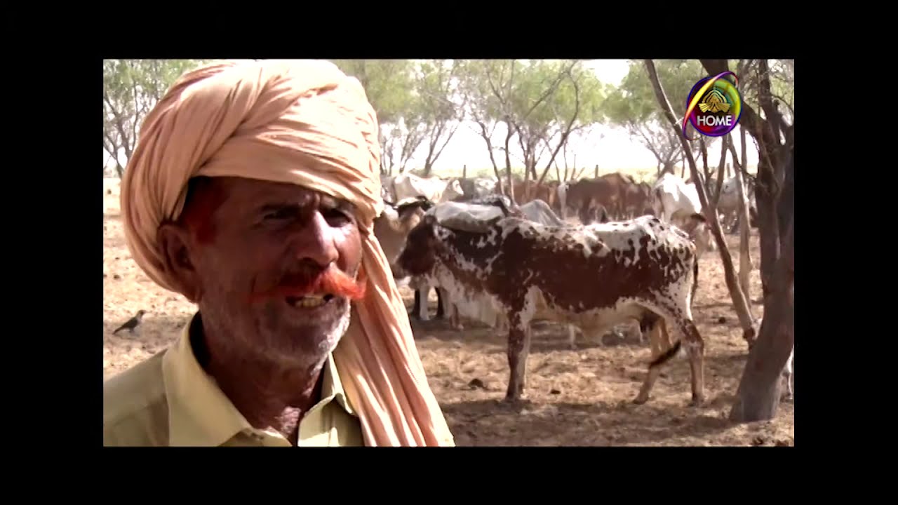 Cholistan -Water For Life  Documentary PTV