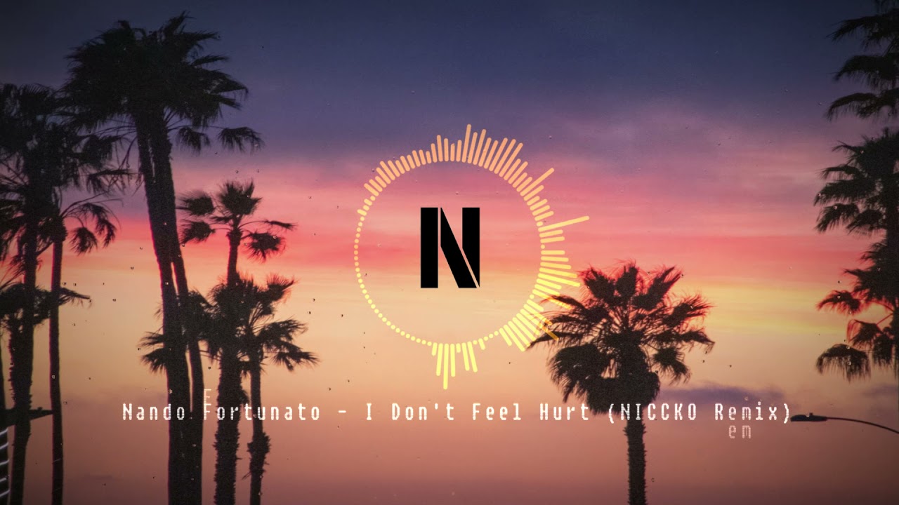 Nando Fortunato - I Don't Feel Hurt (NICCKO Remix)