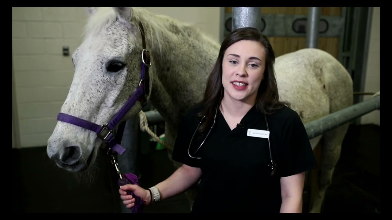 New Student Welcome Video