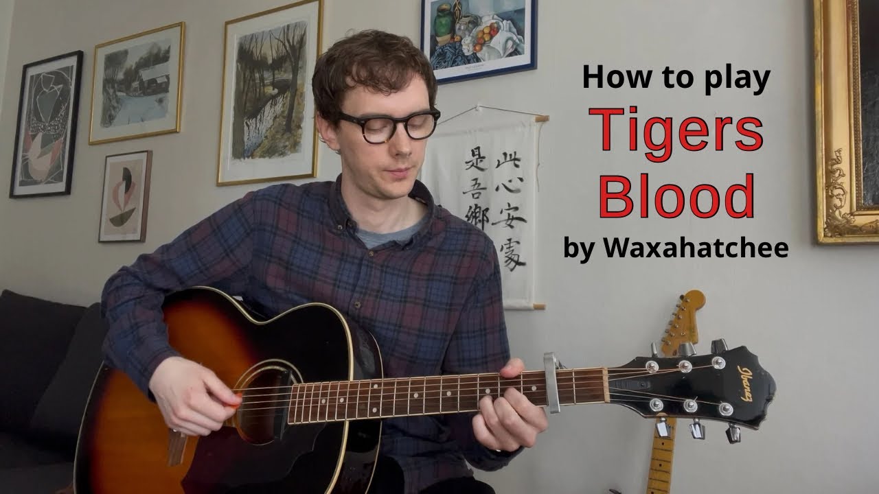 Waxahatchee - Tigers Blood Guitar Tutorial
